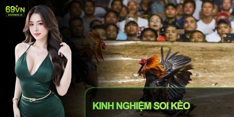Đá Gà Thomo Tại 69VN - Sàn Đấu Kịch Tính Từ Campuchia 4 Soi kèo hiệu quả cần phương pháp tiếp cận có chọn lọc
